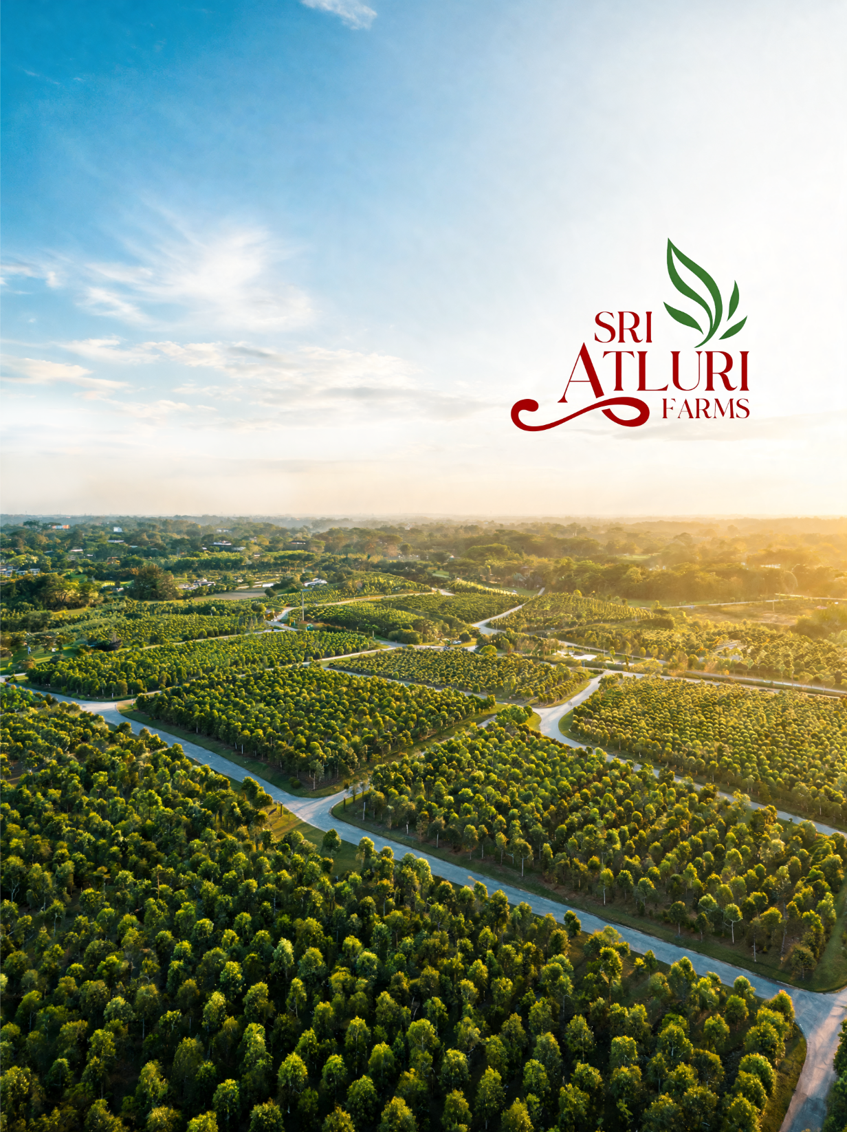 About Sri Atluri Projects